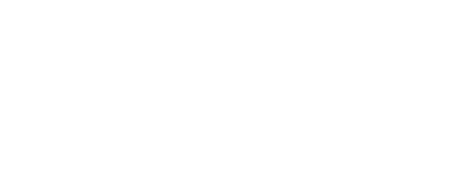 FDS Servizi Integrati S.r.l